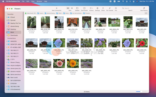 Fe file explorer настройка